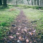 Natural Remedies for Common Ailments: When to Seek Spa Treatments